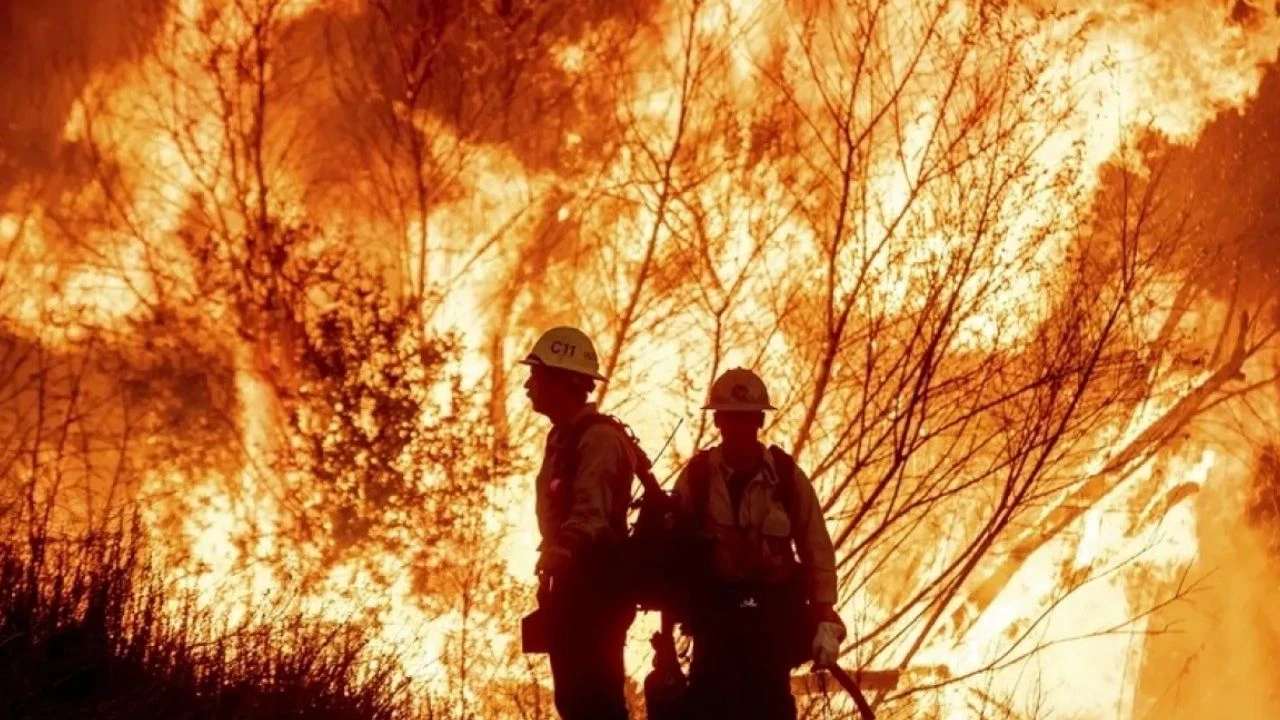 Los Angeles'taki orman yangınlarında ölü sayısı 29 oldu!