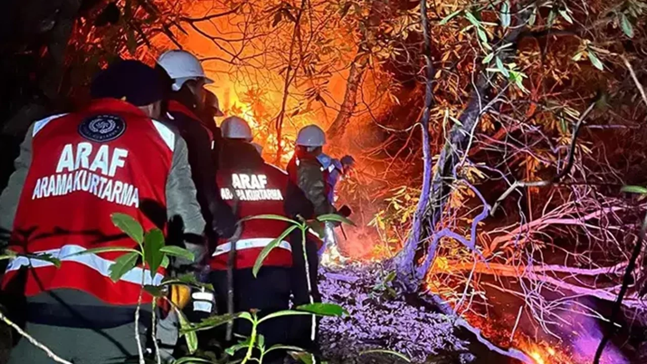 Rize'de yangın ormanı sardı: 15 dönüm alan küle döndü!