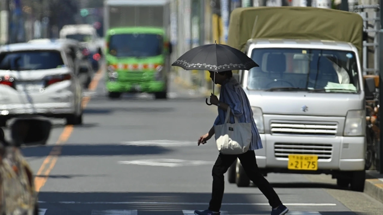 2024, Japonya'nın en sıcak yılı olarak kayda geçti