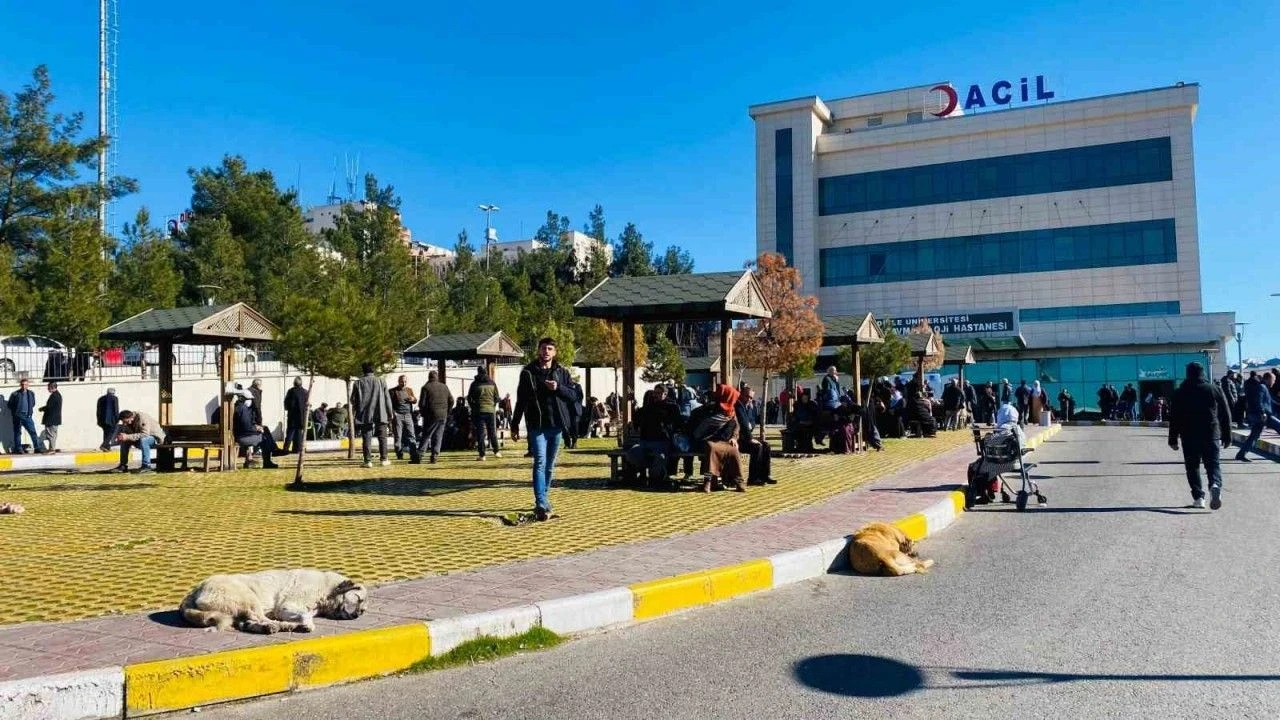 Diyarbakır’da 5 yaşındaki çocuk köpeklerin saldırısına uğradı,kafasından yaralandı