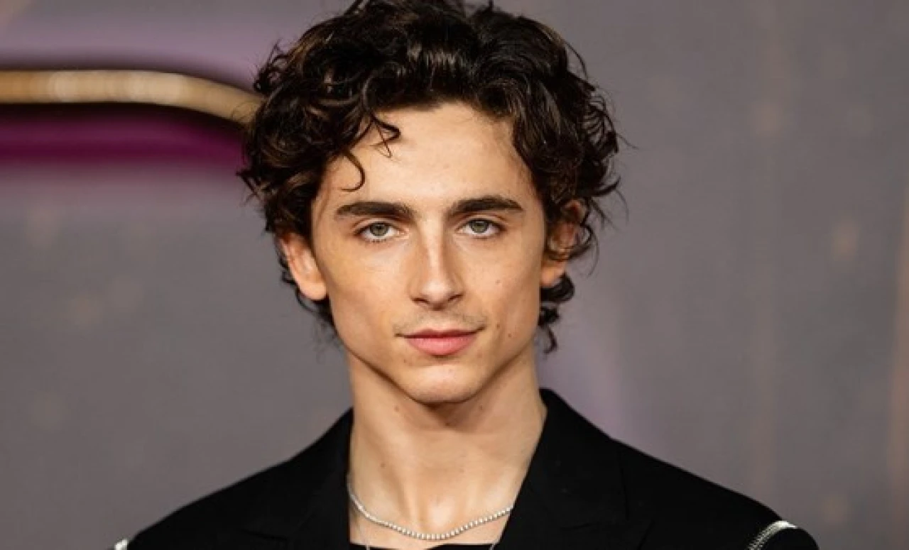 Timothee Chalamet, Oscar tarihine geçti: İkinci kez aday gösterildi