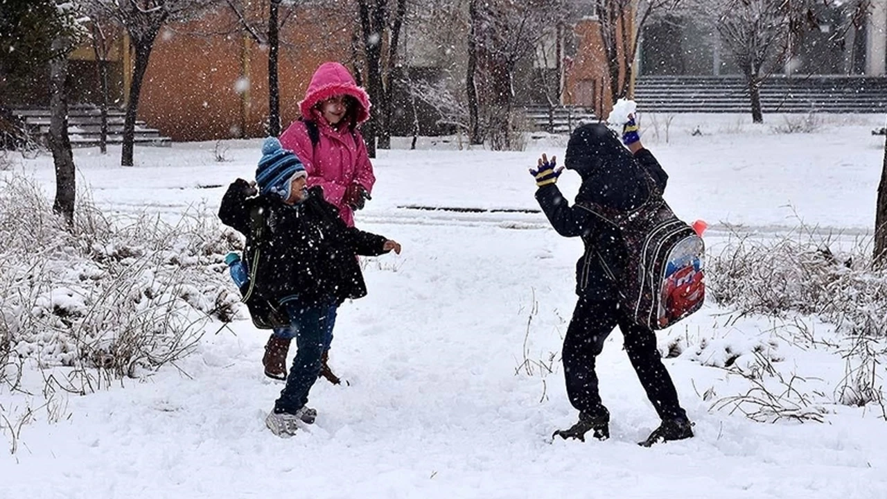 Ordu'da 3 ilçede kar nedeniyle yarın eğitime ara verildi