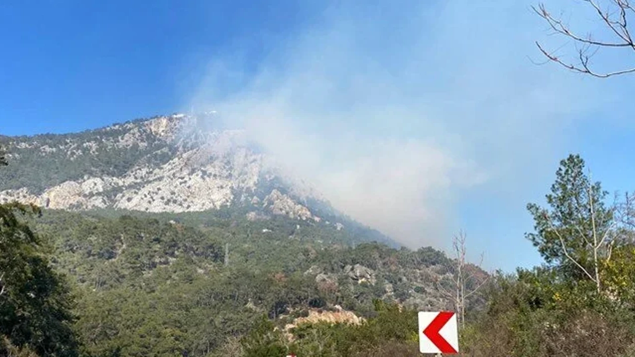 Antalya’da orman yangını: Kuvvetli rüzgar ekipleri zorluyor