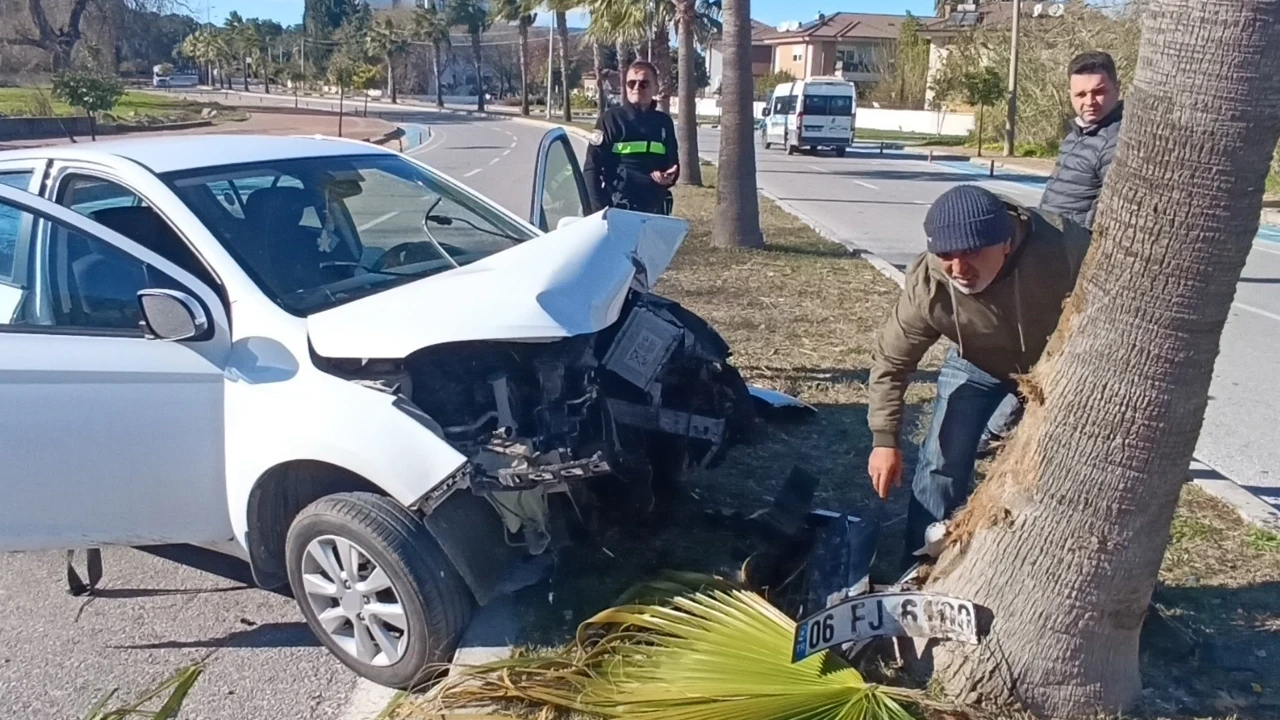 Antalya'da ilginç kaza! Kontrolden çıkan otomobil palmiye ağacına girdi