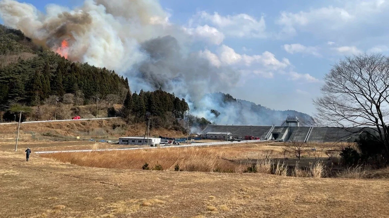 Japonya’da orman yangını felaketi: 2 bin kişi tahliye edildi, yanmış bir ceset bulundu