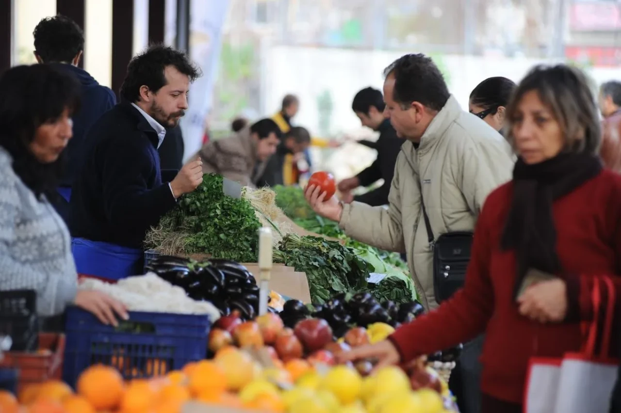 Kış donu çiftçiyi vurdu, tüketiciye fiyat artışı olarak yansıyacak!