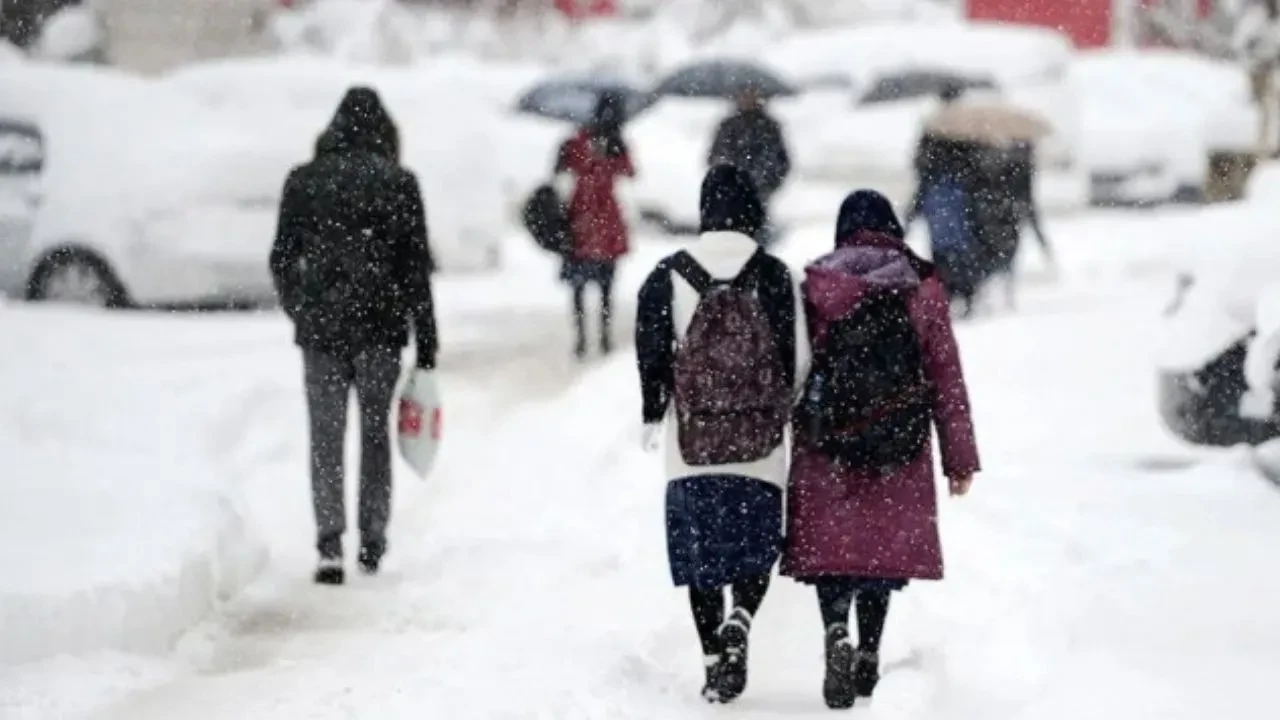 Ardahan'ın hangi ilçelerinde eğitime ara verildi?