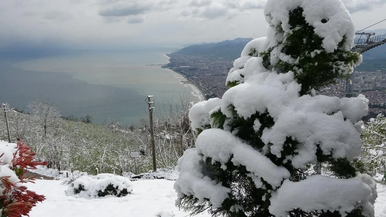 Ordu'da okullar tatil edildi mi? Hangi ilçelerde tatil oldu?