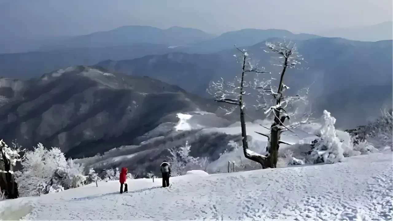 Iğdır’da kar yağışı nedeniyle eğitime ara verildi!