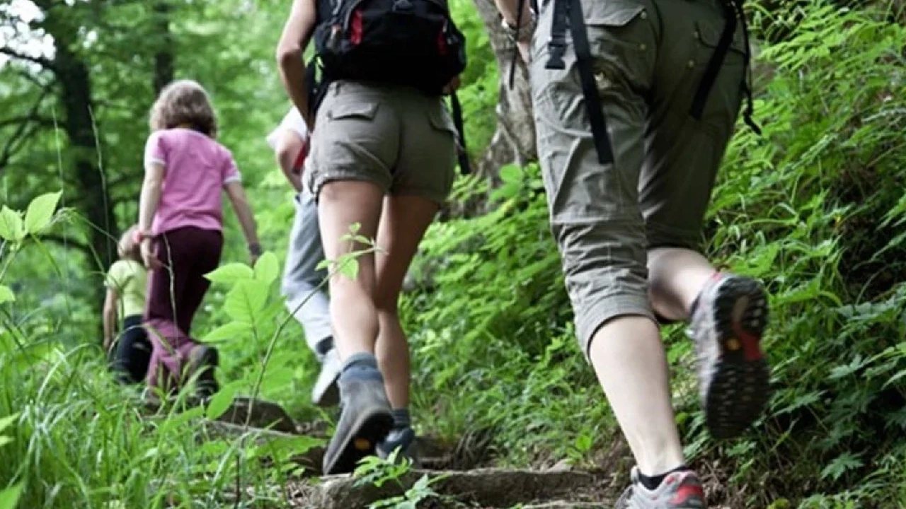 Trekking ve hiking arasındaki farklar nelerdir? Doğa yürüyüşlerinin iki popüler yolu