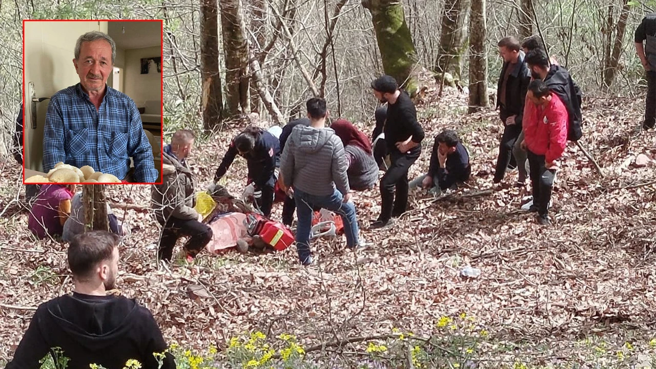 Sakarya'da kahreden kaza: Traktörün altında kalan yaşlı adam hayatını kaybetti!