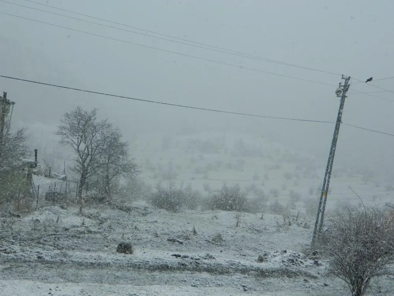 Posof’a kar yağdı, ilçe beyaza büründü