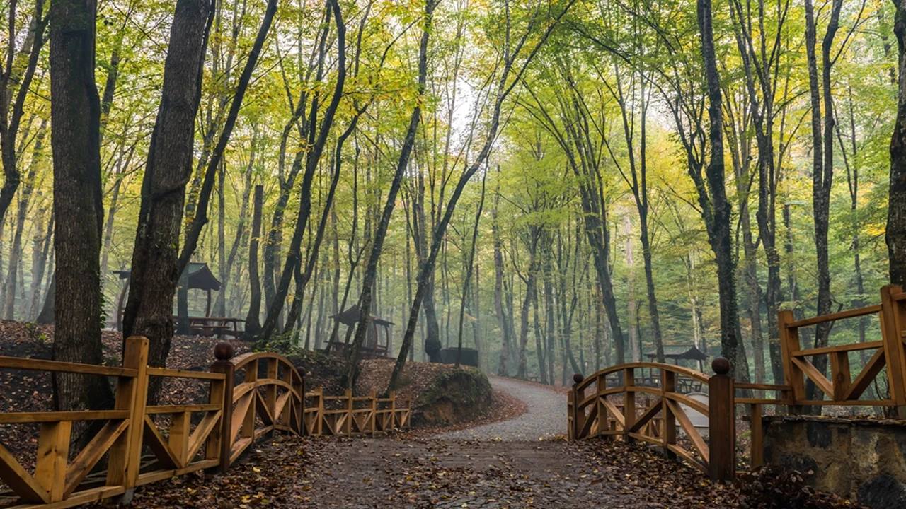 Belgrad Ormanı nerede ve nasıl gidilir? Ece Gürel’in arandığı Belgrad Ormanı yürüyüş parkurunun uzunluğu ne kadar?