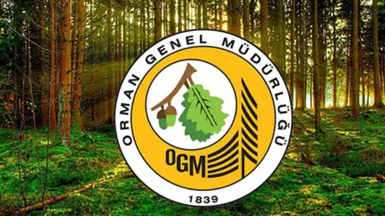 Orman Genel Müdürlüğü (OGM) personel alımı: OGM 3.477 destek personel alım şartları ve kadro branş dağılımı