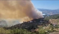 Kahramanmaraş'ta orman yangını çıktı: Ekipler müdahaleye başladı