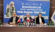 Çorum’a kedi ve köpek yaş mama tesisi kuruluyor