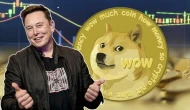 Elon Musk liderliğindeki DOGE, SEC’i incelemeye aldı