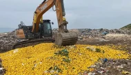 Dubai'ye gönderilen tonlarca limon geri çevrildi