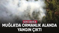 Son dakika... Muğla'da ormanlık alanda yangın çıktı