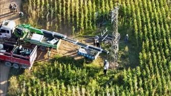 Şanlıurfa'da kaçak elektrik operasyonu: 15 kayıt dışı trafo tespit edildi