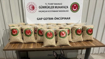 Gümrük Muhafaza’dan kaçakçılara darbe!