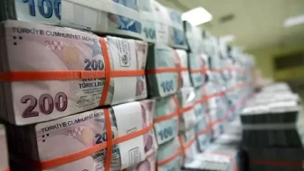 O yiyeceği yurtdışına kaçıranlara 11 milyon lira ceza kesildi!