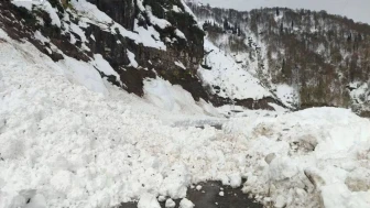 Artvin'de heyelan: 6 köy ulaşıma kapandı