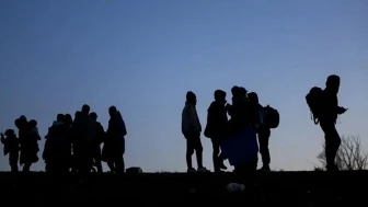 Edirne'de operasyon: 15 düzensiz göçmen yakalandı