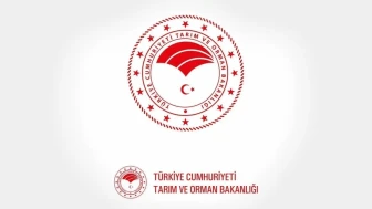 Bakanlık'tan yeni ifşalar: Taklit ürün satan köfteci ifşa edildi