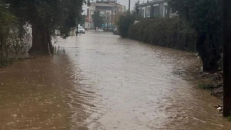 Muğla'da kuvvetli yağış su baskınlarına yol açtı