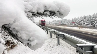 Doğu Anadolu'da soğuk hava etkili oluyor: Buzlanma ve kırağı görüldü