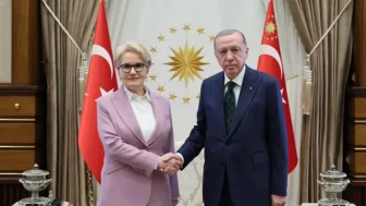 Meral Akşener Cumhurbaşkanı yardımcısı mı oluyor? Fatih Portakal ne dedi?