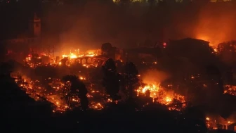 Los Angeles'ta yeni yangın çıktı