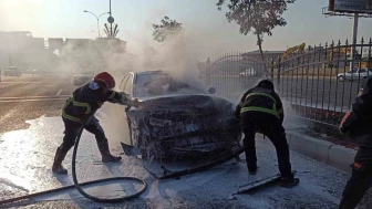 Şanlıurfa'da zincirleme trafik kazasında otomobil alev alarak yandı