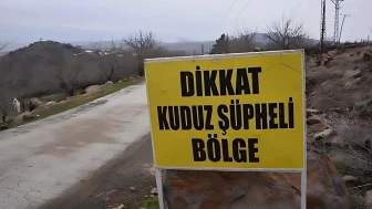 Kuduz köpek panik yarattı: Bir mahalle karantinaya alındı