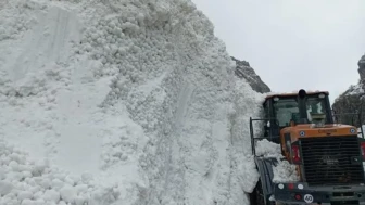 Hakkari’de çığ faciası! İş makinesi operatörü ölümden döndü