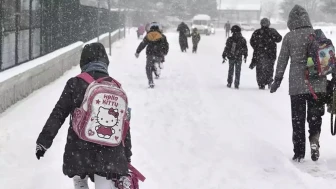 İstanbul'da hangi ilçelerde okullar tatil edildi?