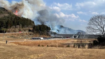 Japonya'nın Iwate Eyaletinde orman yangını! 2 bin kişiye tahliye uyarısı yapıldı