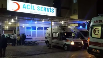 Otobüs uçuruma yuvarlandı: 20 kişi hayatını kaybetti!