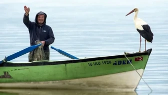 Baharın habercisi Yaren Leylek bu yıl gecikti: Önce eşi Nazlı geldi