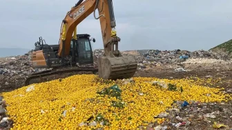 Dubai'ye gönderilen tonlarca limon geri çevrildi