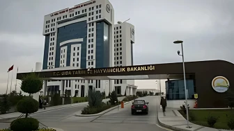 Orman Bakanlığı 8500 personel alımı ne zaman yapılacak?