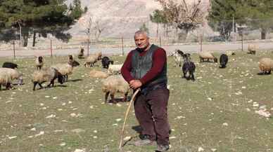 Siirt'te 443 aile kentten kırsala göç ederek tarımsal üretime başladı