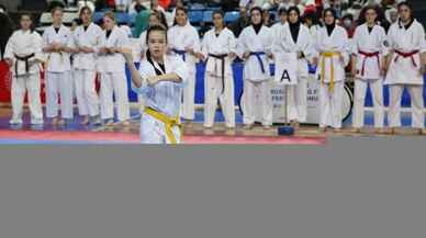 Budokaido Kumite ve Kata Türkiye Şampiyonası Sakarya'da başladı