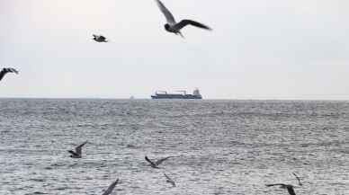 Marmara Denizi'nde poyraz 4 gündür etkisini sürdürüyor