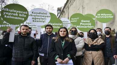 Mimari ve Şehircilik Platformundan İBB'ye çınar ağacı tepkisi