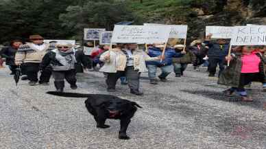 MUĞLA - Bir köpeğin ağaca asılarak öldürülmesi tepki gördü