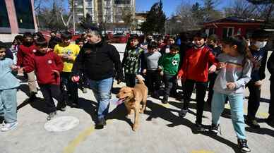 Öğrenciler eğitimli köpek "Fox" ile hem eğleniyor hem bilinçleniyor