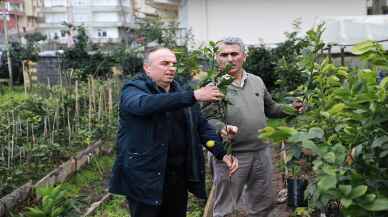 RİZE - Rizeli çay üreticileri Muğla'daki ağaçlandırma çalışmalarına destek verecek