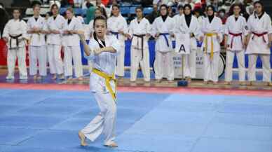 SAKARYA - Budokaido Kumite ve Kata Türkiye Şampiyonası başladı